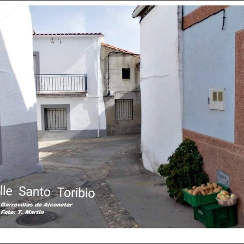 Garrovillas - Calle Santo Toribio (18)